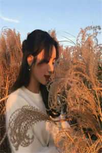 热门网络小说推荐大明之穿成秀才定江山赵无忌赵宁_大明之穿成秀才定江山赵无忌赵宁免费完结版小说