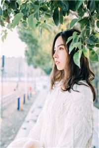 全本完结小说魏奴杀小五许桓_魏奴杀(小五许桓)免费小说在线阅读