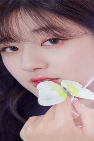 不能说的秘密