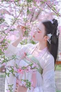 贵妃她又娇又媚(林娇娇文渊)免费小说在线看_免费小说在线看贵妃她又娇又媚林娇娇文渊
