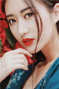 被告无证行医后，他成了兽医一把手(司雅吴亚雪)热门小说推荐_免费完整版小说被告无证行医后，他成了兽医一把手(司雅吴亚雪)