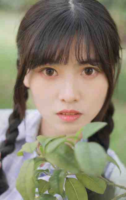 找到八个亲哥哥后，京圈无人敢惹她叶小汐叶以辰免费阅读完整版小说_完结好看小说找到八个亲哥哥后，京圈无人敢惹她(叶小汐叶以辰)