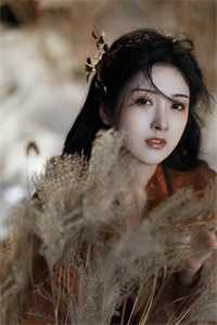 平步青云(柳浩天梁友德)免费小说阅读_免费小说推荐平步青云柳浩天梁友德