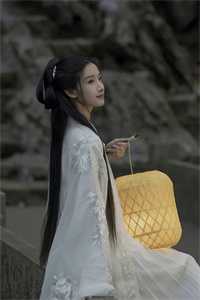 陆夫人的全球马甲团
