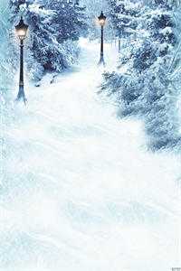 二嫁医妃:王爷他想喜当爹(林凌雪凤邑凌)免费小说在哪看_小说最新章节二嫁医妃:王爷他想喜当爹(林凌雪凤邑凌)