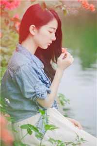 最新免费小说女神的超级狂医(杨洛苏轻眉)_女神的超级狂医(杨洛苏轻眉)热门小说