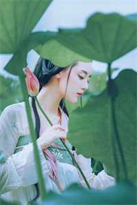 禀告首辅，夫人她又去给你物色美女了