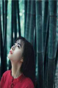 穿进古代末世，靠着家底搞基建(卫曦音卫琅)最新推荐小说_最热门小说穿进古代末世，靠着家底搞基建卫曦音卫琅