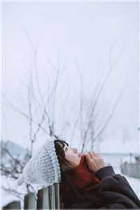 青云美人图(陈志远关文婷)最新更新小说_完结的热门小说青云美人图(陈志远关文婷)