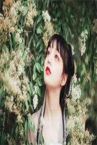 找到八个亲哥哥后,京圈无人敢惹她免费(叶小汐叶以辰)最新好看小说推荐_免费完结小说找到八个亲哥哥后,京圈无人敢惹她免费叶小汐叶以辰