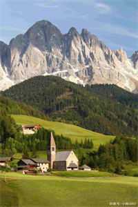 我居然没死成一