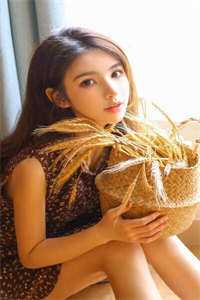 那个沉默寡言的侍卫