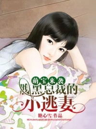 总裁轻点宠全免费