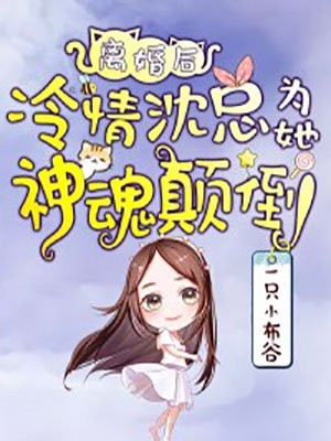 你好，肖先生
