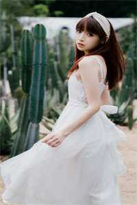 龙王婿