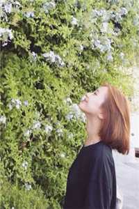 爱意成碑