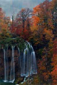 我改嫁后,地下恋男友跪着追妻火葬场 番外