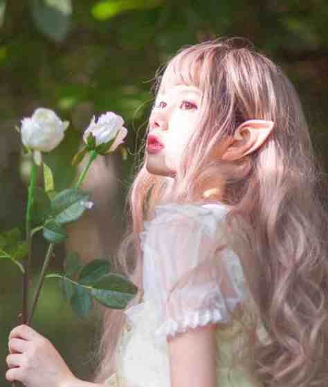 八零军花觉醒后，不要团长要高考叶知秋宋霆威热门小说_最新推荐小说八零军花觉醒后，不要团长要高考叶知秋宋霆威