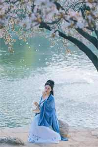 飞花轻似梦