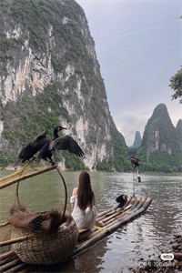 死了都要爱(夏沫莫祺)完整版免费全文阅读_热门小说在线阅读死了都要爱(夏沫莫祺)