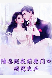 星星落下那片海温易川时雪意热门网络小说推荐_小说免费阅读无弹窗星星落下那片海(温易川时雪意)