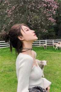 秋风不语空余恨萧凌宇沈尘清完结小说推荐_热门好看小说秋风不语空余恨(萧凌宇沈尘清)