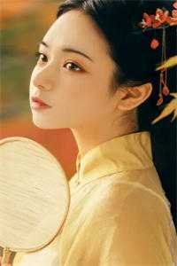 天龙医婿