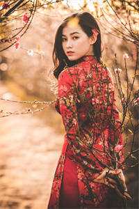 宠妾灭妻，我让世子府全家跪地求饶苏蓝蓝儿最新小说全文阅读_完结版小说宠妾灭妻，我让世子府全家跪地求饶(苏蓝蓝儿)