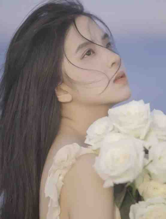 多情却似总无情(沈知夏何瑾年)完结版小说全文免费阅读_在线阅读免费小说多情却似总无情(沈知夏何瑾年)
