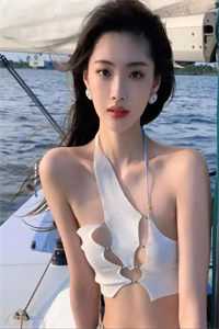 官婿美人香