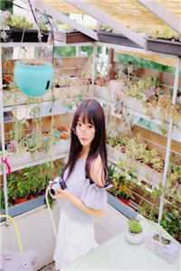 盛宠毒女风重华韩辰免费小说完整版_免费小说在线阅读盛宠毒女(风重华韩辰)