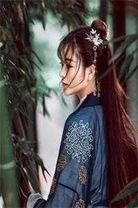曾以过客之名(司毅许清岚)最热门小说_完整免费小说曾以过客之名(司毅许清岚)