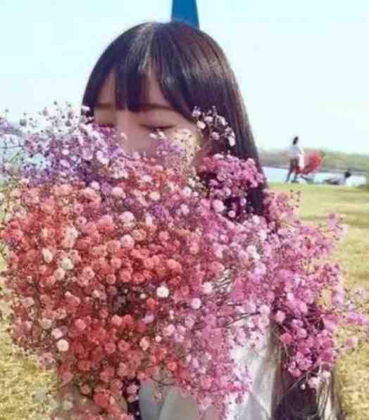 王姬传宁王王姬完整版免费小说_热门小说王姬传宁王王姬