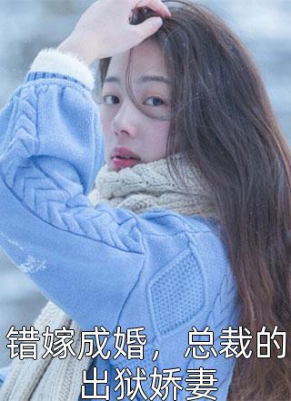 潇潇雨声迟来暮