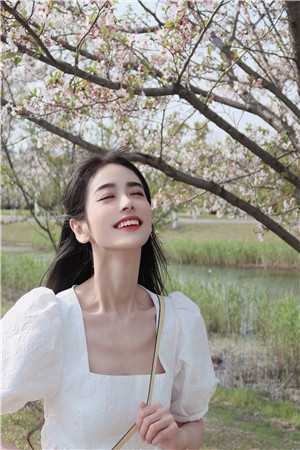 清夜无尘，明月无缺(沈策安白舒)免费完整版小说_全本免费小说清夜无尘，明月无缺(沈策安白舒)