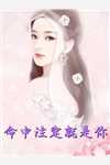 珠联璧合(辛安威远)免费小说完整版_完结版小说珠联璧合(辛安威远)