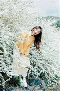 浮生岁月如梦叶忆之林昭成完结好看小说_小说免费阅读无弹窗浮生岁月如梦(叶忆之林昭成)