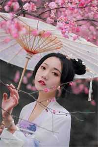 女神的超级狂医杨洛苏轻眉热门免费小说_小说推荐完结女神的超级狂医(杨洛苏轻眉)