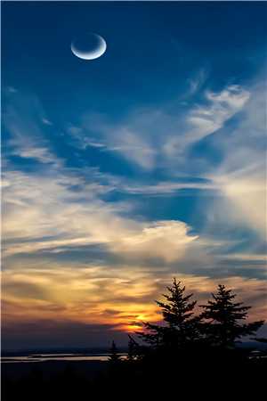 爱在云深消散处陆云深沈夕颜免费完本小说_最新小说全文阅读爱在云深消散处(陆云深沈夕颜)