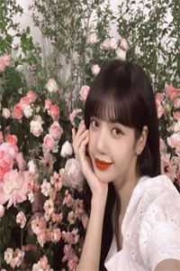 重生后，疯批美人每天都在撩人攻心贺枫秦雨摇小说完结版_小说最新章节重生后，疯批美人每天都在撩人攻心贺枫秦雨摇