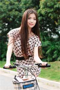 二婚玫瑰