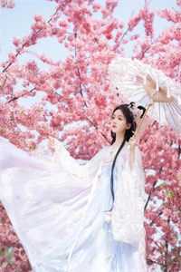 十八线女星装我装上瘾了顾晓彤齐晓彤完结版小说阅读_在线阅读免费小说十八线女星装我装上瘾了(顾晓彤齐晓彤)