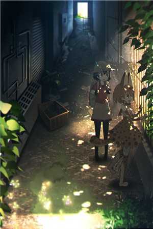 绯色青云