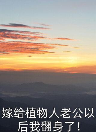 将爱藏匿于深海陆婉晴许盛完整免费小说_热门小说排行榜将爱藏匿于深海陆婉晴许盛