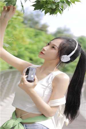 疏雨梧桐浅月朦胧