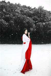 无岁不逢春