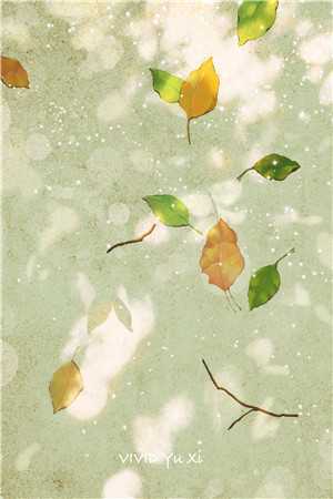 雪落的声音林芷沈白最新完本小说推荐_完结小说免费阅读雪落的声音林芷沈白