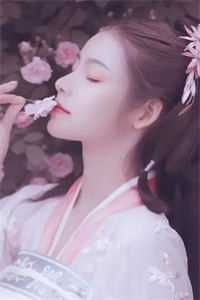 恰逢暮雪又白头(江清雾季晏离)完结小说大全_完结的小说恰逢暮雪又白头江清雾季晏离