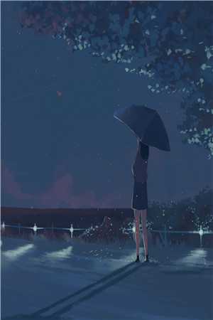 疏雨梧桐浅月朦胧