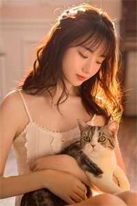 惊觉相思不露(沈慕衍苏奈)全文免费小说_免费阅读全文惊觉相思不露(沈慕衍苏奈)